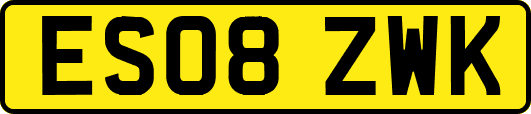 ES08ZWK