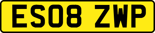ES08ZWP