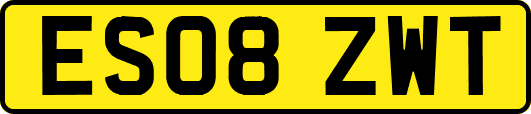 ES08ZWT