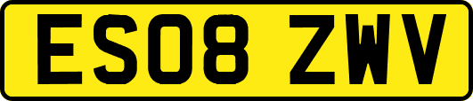 ES08ZWV