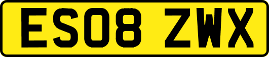 ES08ZWX