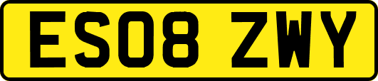 ES08ZWY