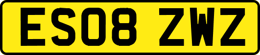 ES08ZWZ