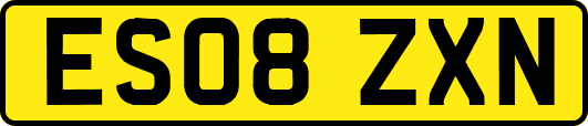 ES08ZXN