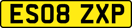 ES08ZXP