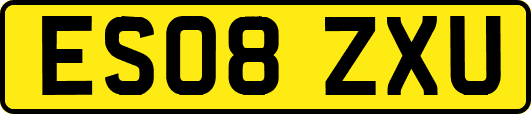 ES08ZXU