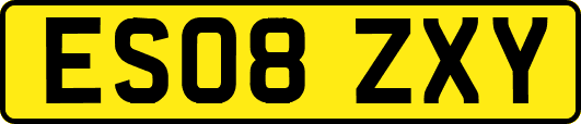 ES08ZXY