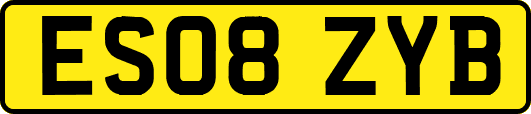 ES08ZYB