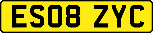 ES08ZYC