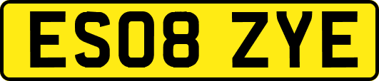 ES08ZYE