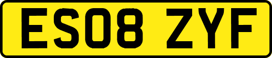ES08ZYF
