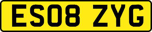 ES08ZYG