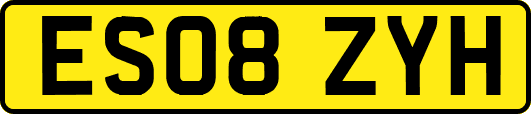 ES08ZYH