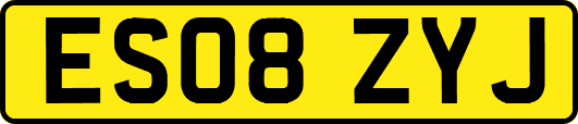 ES08ZYJ