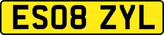 ES08ZYL
