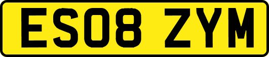 ES08ZYM