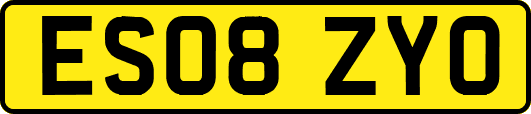 ES08ZYO