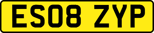ES08ZYP