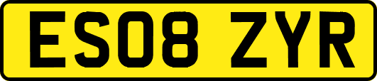 ES08ZYR