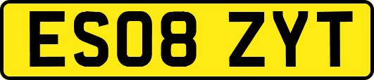 ES08ZYT