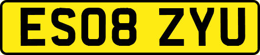 ES08ZYU