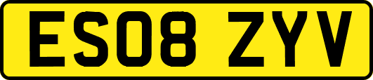 ES08ZYV