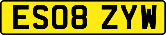ES08ZYW
