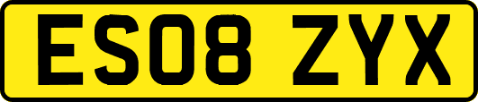 ES08ZYX