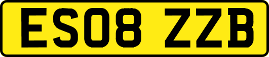ES08ZZB