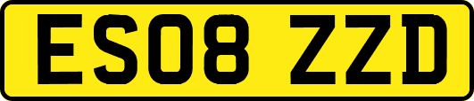 ES08ZZD