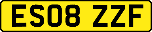ES08ZZF