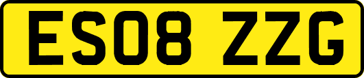 ES08ZZG