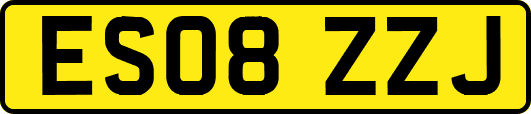 ES08ZZJ