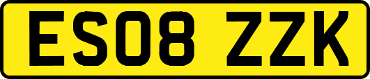 ES08ZZK