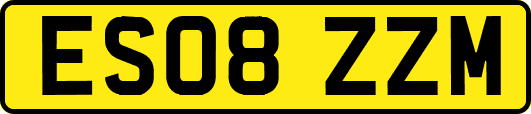 ES08ZZM