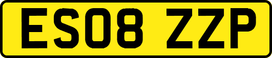 ES08ZZP