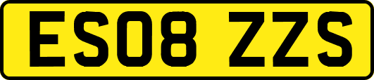 ES08ZZS