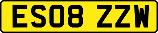 ES08ZZW