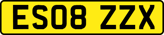 ES08ZZX