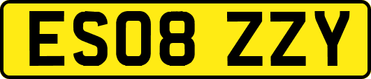 ES08ZZY