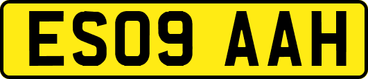 ES09AAH