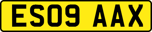 ES09AAX