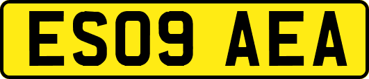 ES09AEA