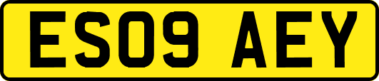 ES09AEY