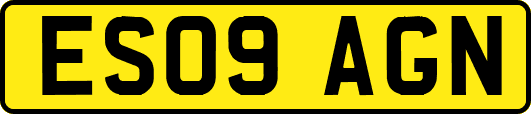 ES09AGN