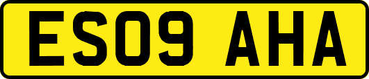 ES09AHA