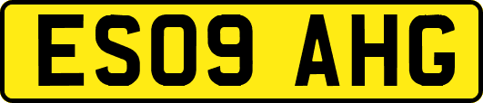 ES09AHG