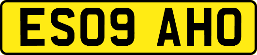 ES09AHO