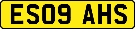 ES09AHS