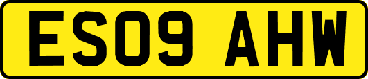 ES09AHW